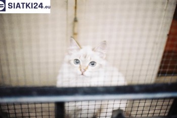 Siatki Ożarów Mazowiecki - Zabezpieczenie balkonu siatką - Kocia siatka - bezpieczny kot dla terenów Ożarowa Mazowieckiego